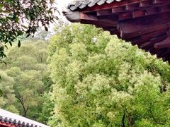 -石峰岩寺