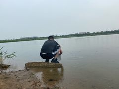 -绿堤公园