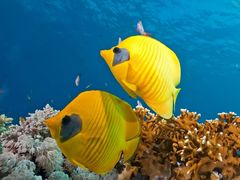 -大胖虎驾考驾校(郭巷训练场)