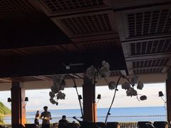 -日落吧·海景咖啡厅·餐酒吧·鸡尾酒·下午茶·乐队表演·浪漫夕阳·三亚文华东方酒店