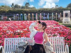 -盈香心动乐园