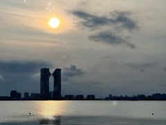 -春花秋色城市公园