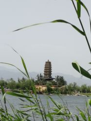 -上美四季动物农场