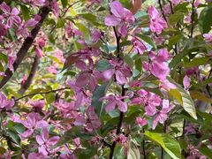 -元大都城垣遗址公园