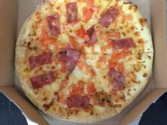 -达美乐比萨(国瑞北路店)