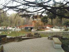 -西安市长乐公园