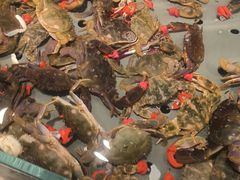 -一方渔歌蒸汽海鲜自助(文化路万达广场店)