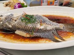 -汤臣·空中餐厅·严选粤菜(石湾世博广场店)
