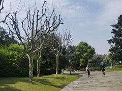 -黄兴公园