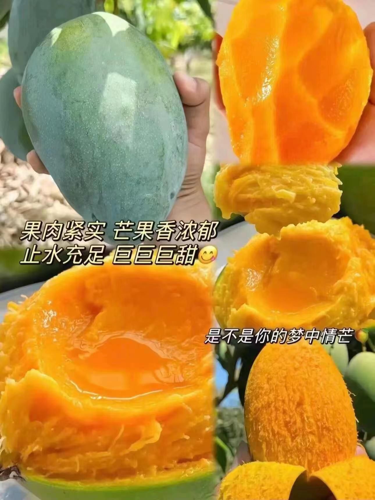 05抢75觅鲜生智洲国产芒果

?