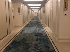 -南京东郊国宾馆