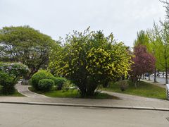 -东北大学(南湖校区)