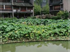 -龙潭水乡