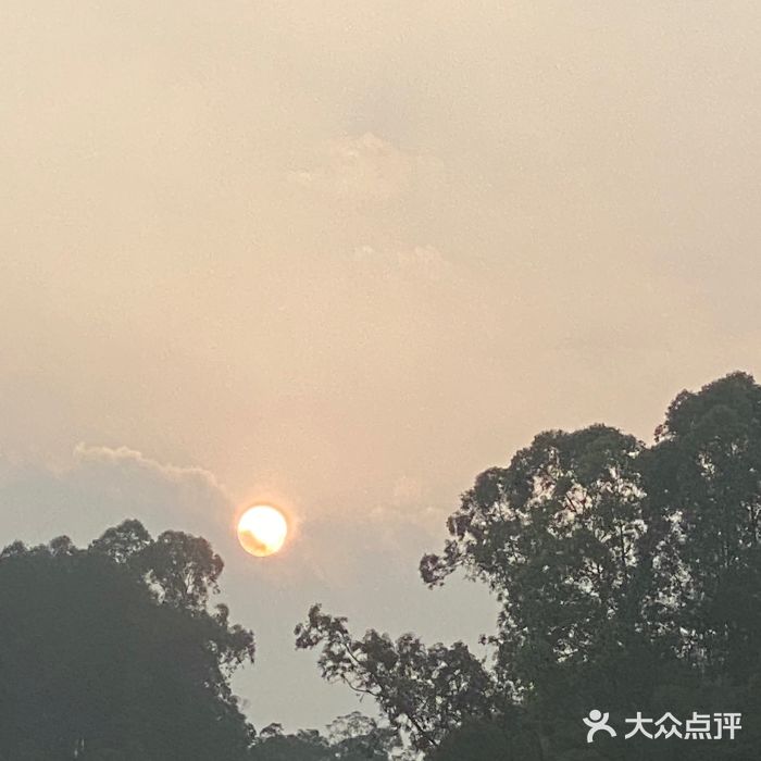 滨海公园图片