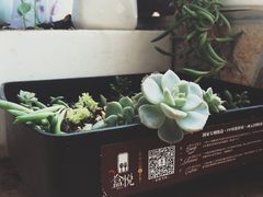 -盒悦高端盒饭(中海国际中心店)