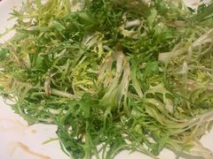 凉拌苦菊-老板恋上鱼(环山路店)