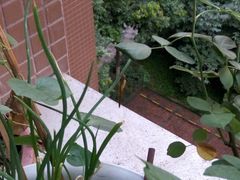 -棒棒鸡传奇(解放路店)