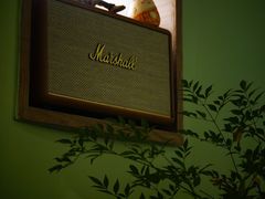 -SeekSeeking咖啡专门店(堰塘街店)