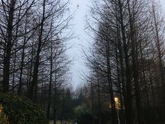 -郑州植物园