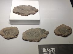 -重庆欢乐海底世界