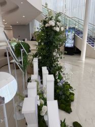 -广州美莱医疗美容医院