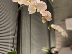 -上海璞麗酒店