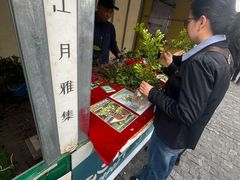 -哈尔滨道外花鸟鱼市场