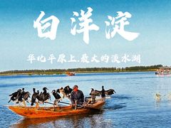 -白洋淀风景区