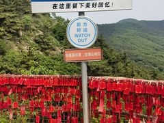 -金龙寺国家森林公园