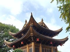-上海东林寺(金山区)