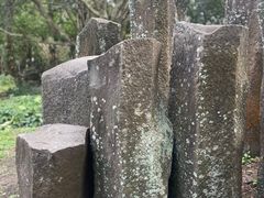 -海口火山口国家地质公园