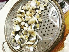 白贝-凯盈阁·顺德私房菜·桑拿鸡