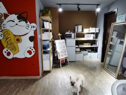 -IDEA·艾蒂尔科技美肤·日式美甲美睫集合店