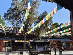-西安市广仁寺