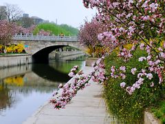 -海棠花溪(元大都城垣遗址公园)