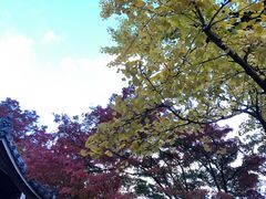 -常寂光寺