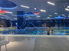 -优维游泳健身