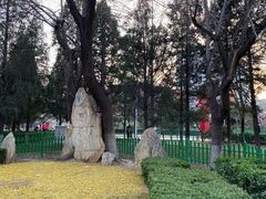 -双榆树公园