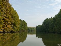 -上海海湾国家森林公园