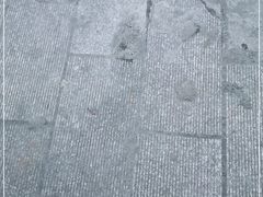 -Club Queen皇后酒吧