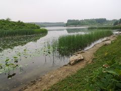 -丁香湖公园