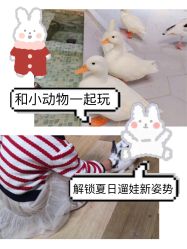 -七巧国萌宠乐园(龙湖天街店)