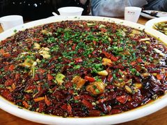 -功夫兔