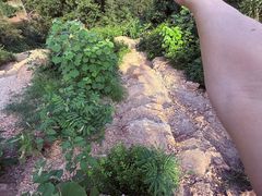 -青龙山国家森林公园