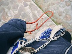 -上海佘山国家森林公园天马山园