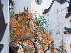 -篁岭景区