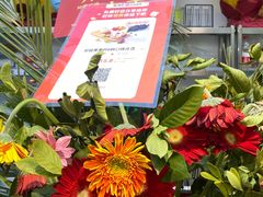 -安姬酸奶·水果捞(长安万达店)
