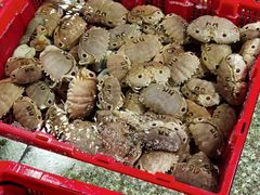 -霞涌市场海鲜摆卖区