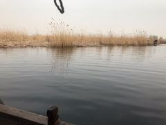 -白洋淀景区