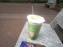 -晓港公园